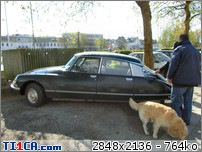 [img]http://mk4.ti1ca.com/6r6ck479t.jpg[/img]